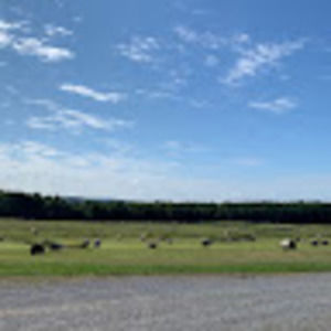 Meet your Posher, Julianna